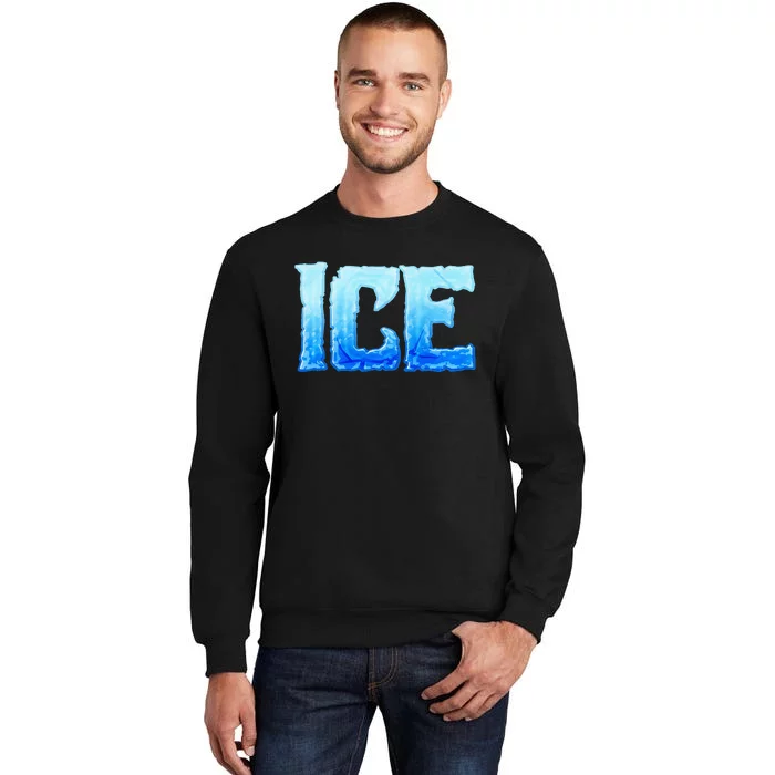 Fire And Ice Funny DIY Group Couples Halloween Costume Ice Sweatshirt