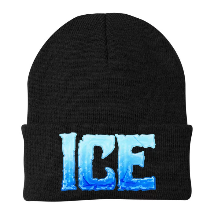 Fire And Ice Funny DIY Group Couples Halloween Costume Ice Knit Cap Winter Beanie