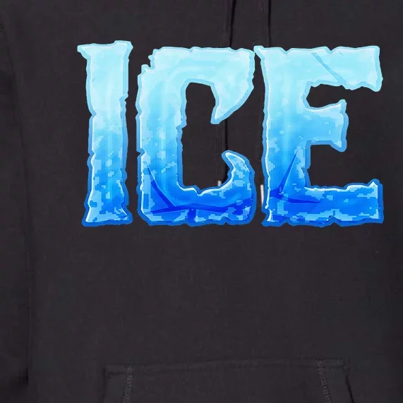 Fire And Ice Funny DIY Group Couples Halloween Costume Ice Premium Hoodie