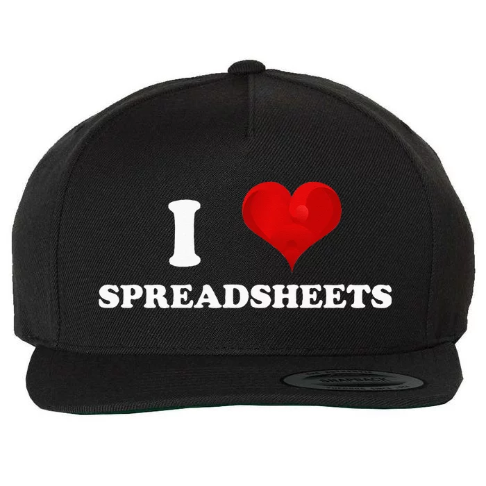 Funny Accountant I Love Spreadsheets Accounting Office Wool Snapback Cap