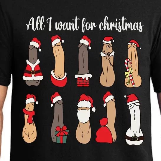 Funny All I Want For Christmas Pajama Set