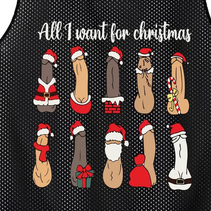 Funny All I Want For Christmas Mesh Reversible Basketball Jersey Tank