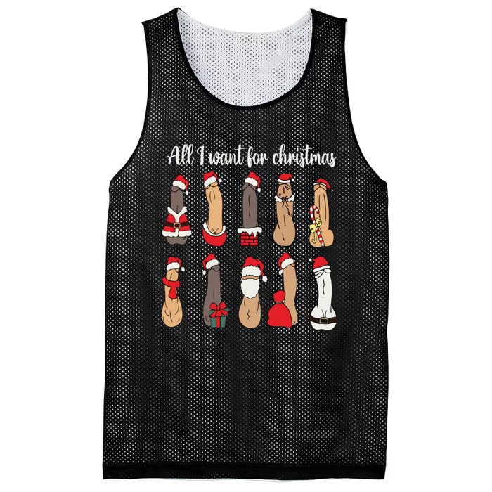 Funny All I Want For Christmas Mesh Reversible Basketball Jersey Tank