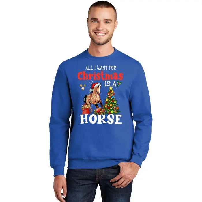 Funny All I Want For Christmas Horse Equestrian Xmas Gift Tall Sweatshirt