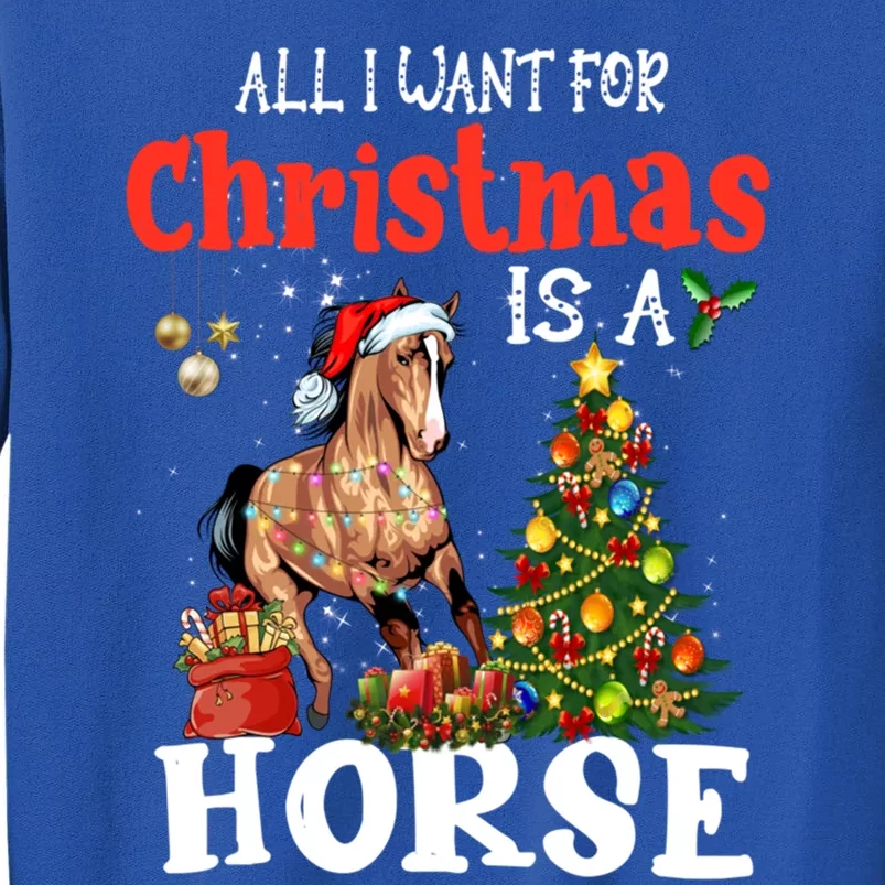 Funny All I Want For Christmas Horse Equestrian Xmas Gift Tall Sweatshirt