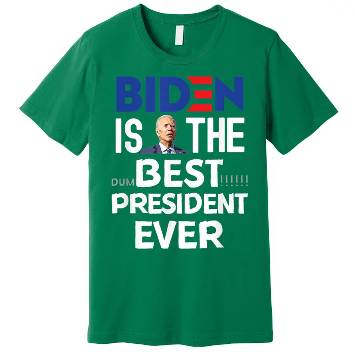 Funny Anti Joe Biden Tee Idiot Confused Dumbest President Premium T-Shirt