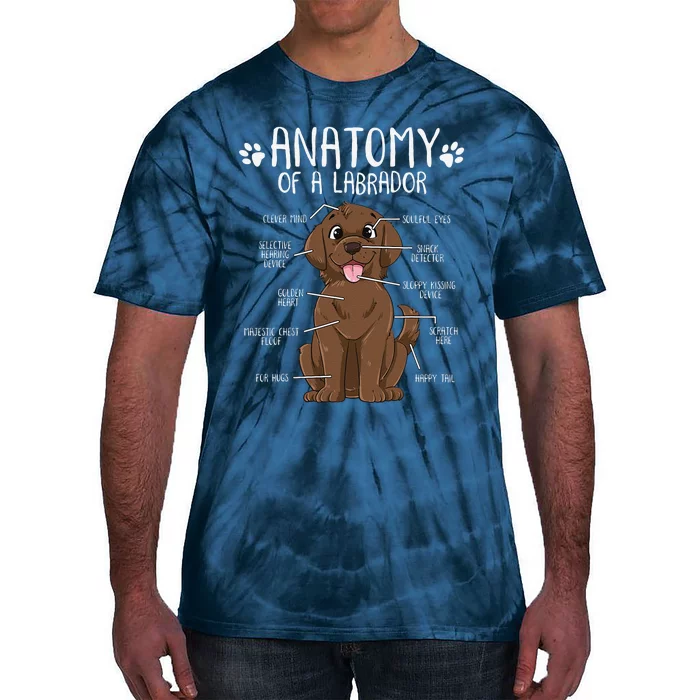 Funny Anatomy Labrador Retriever Chocolate Lab Dog Owner Tie-Dye T-Shirt