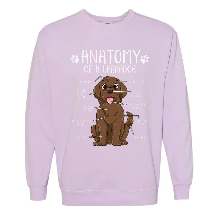 Funny Anatomy Labrador Retriever Chocolate Lab Dog Owner Garment-Dyed Sweatshirt