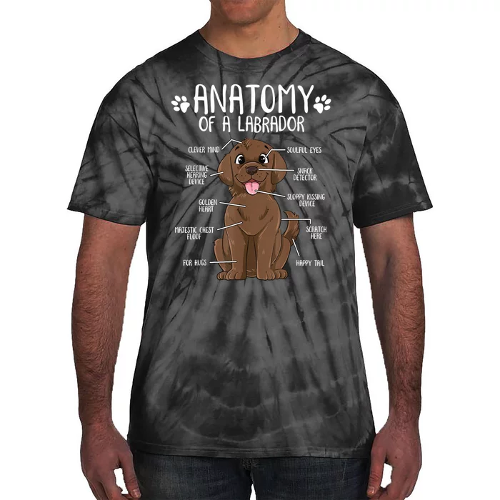 Funny Anatomy Labrador Retriever Chocolate Lab Dog Owner Tie-Dye T-Shirt