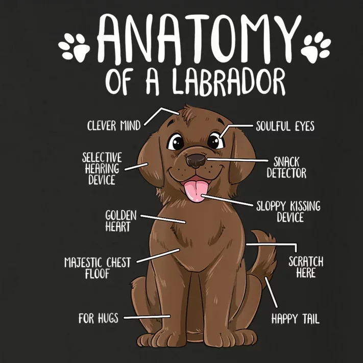 Funny Anatomy Labrador Retriever Chocolate Lab Dog Owner Toddler Long Sleeve Shirt