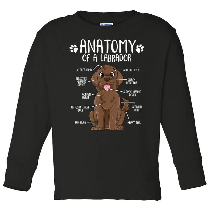 Funny Anatomy Labrador Retriever Chocolate Lab Dog Owner Toddler Long Sleeve Shirt