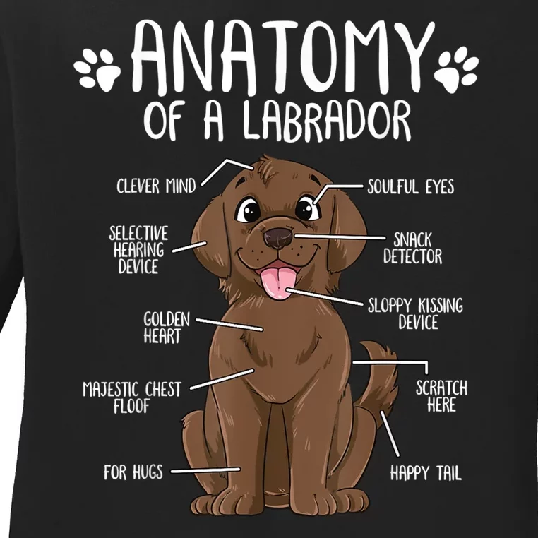 Funny Anatomy Labrador Retriever Chocolate Lab Dog Owner Ladies Long Sleeve Shirt