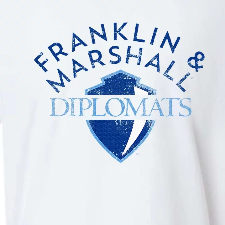 Franklin And Marshall College Diplomats Sueded Cloud Jersey T-Shirt