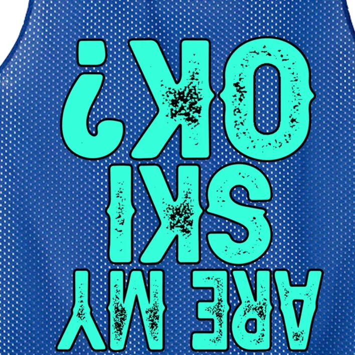 Funny Are My Ski Ok Skier Skis Skiing Snowboard Winter Gift Mesh Reversible Basketball Jersey Tank