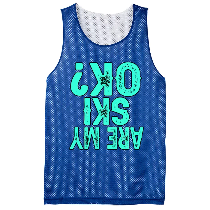 Funny Are My Ski Ok Skier Skis Skiing Snowboard Winter Gift Mesh Reversible Basketball Jersey Tank