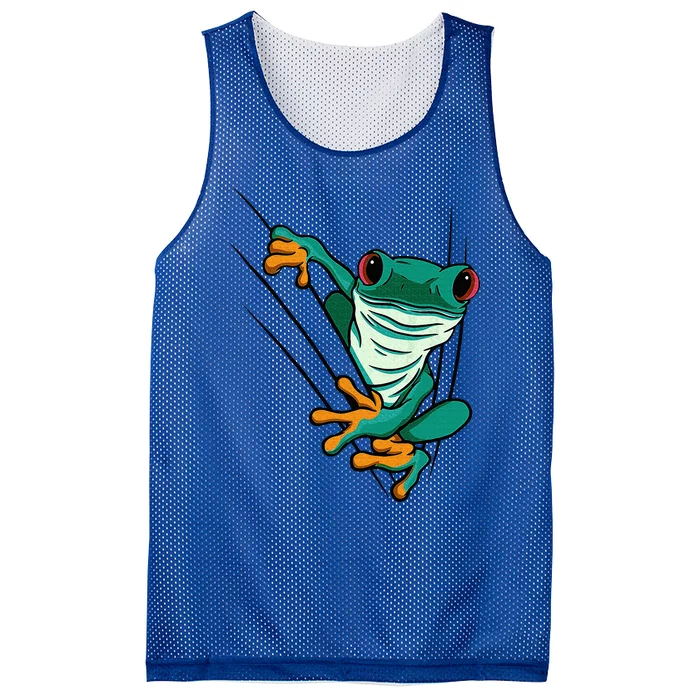 Frog Animal Motif Animal Print Frog Mesh Reversible Basketball Jersey Tank