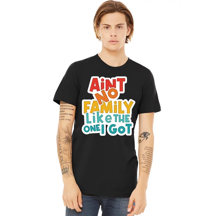 Funny Aint No Family Like The One I Got Premium T-Shirt