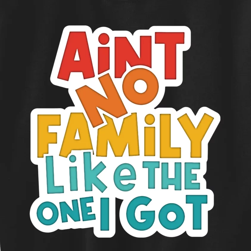 Funny Aint No Family Like The One I Got Kids Sweatshirt