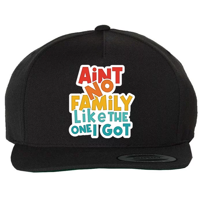 Funny Aint No Family Like The One I Got Wool Snapback Cap