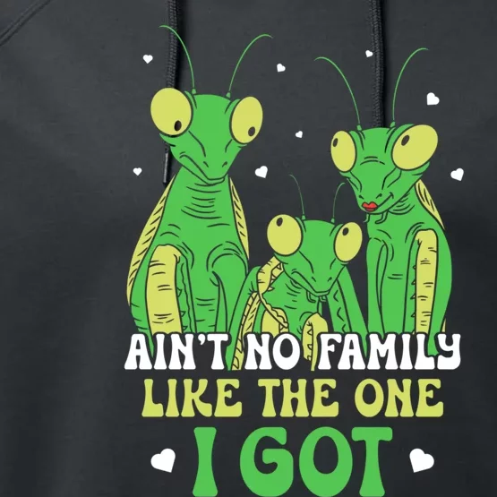 Funny Aint No Family Like The One I Got Performance Fleece Hoodie