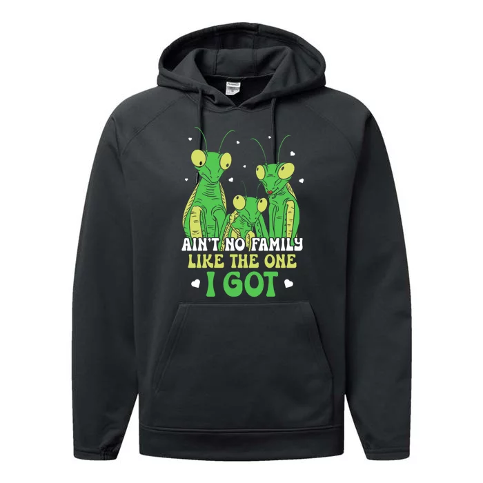 Funny Aint No Family Like The One I Got Performance Fleece Hoodie