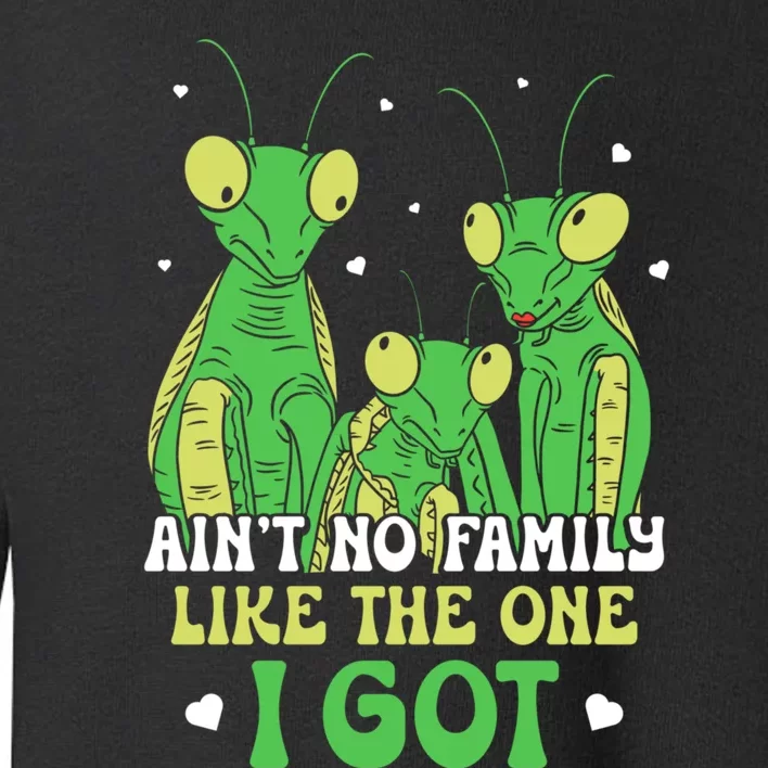 Funny Aint No Family Like The One I Got Toddler Sweatshirt