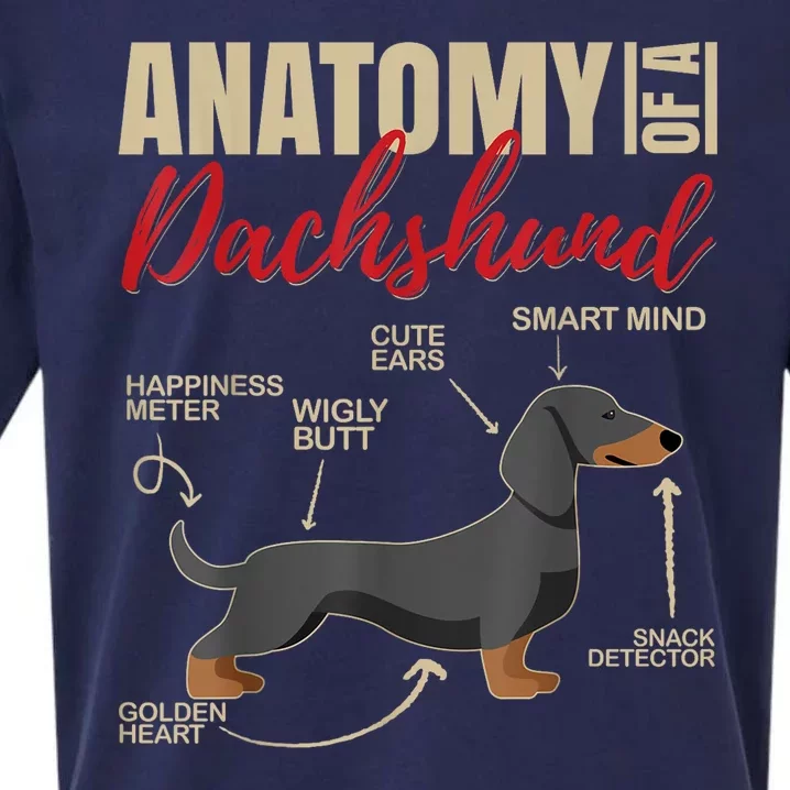 Funny Anatomy Of A Dachshund Dog Gift Sueded Cloud Jersey T-Shirt