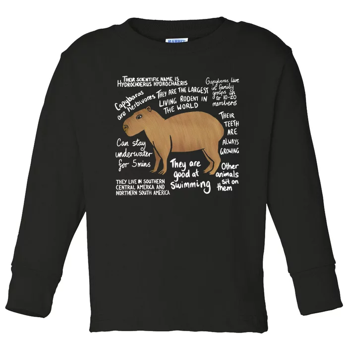 Funny Anatomy Of a Capybara Girls Cute Capybaras Toddler Long Sleeve Shirt