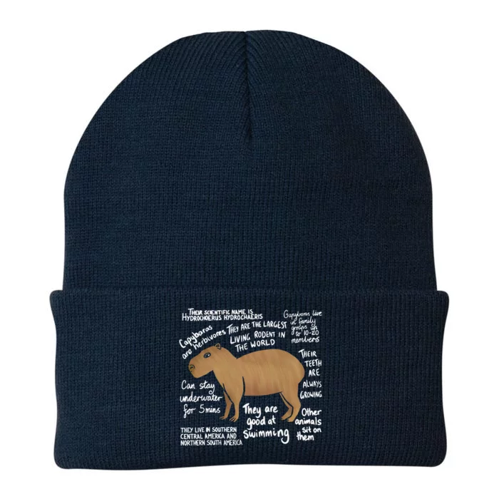 Funny Anatomy Of A Capybara Cute Capybaras Knit Cap Winter Beanie