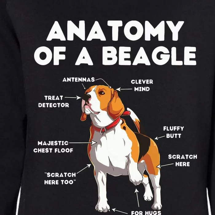 Funny Anatomy Of A Beagle Womens California Wash Sweatshirt