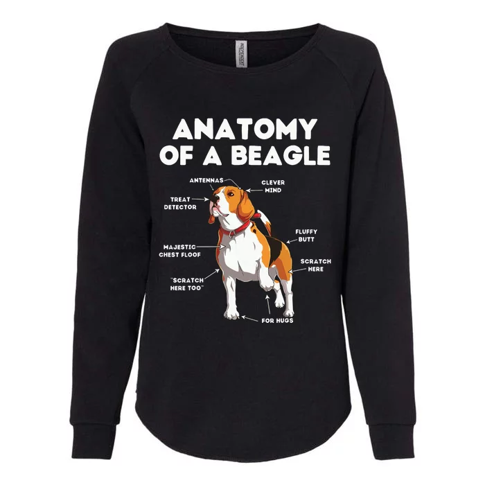 Funny Anatomy Of A Beagle Womens California Wash Sweatshirt