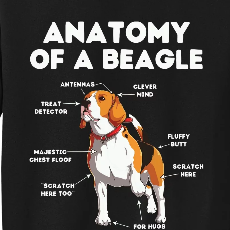 Funny Anatomy Of A Beagle Tall Sweatshirt