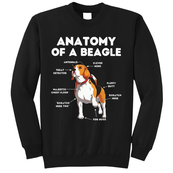 Funny Anatomy Of A Beagle Tall Sweatshirt