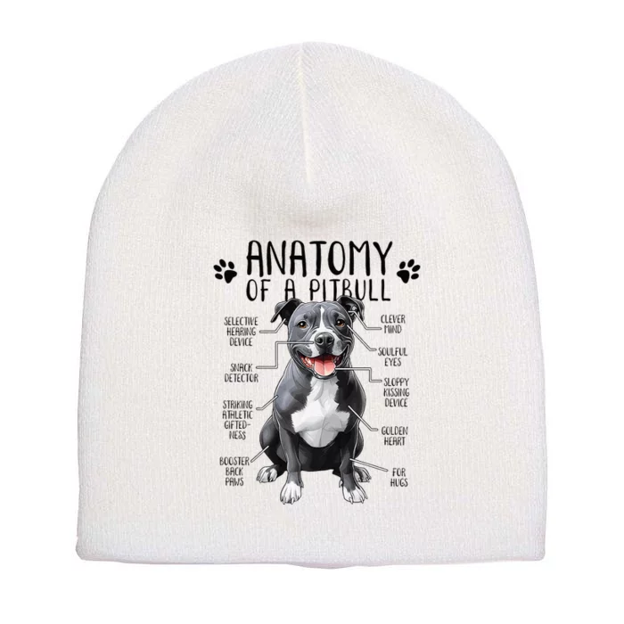 Funny Anatomy Pitbull Dog Cute Pittie Lover Pit Bull Owner Short Acrylic Beanie