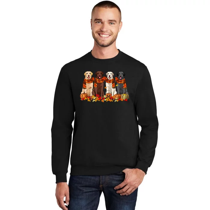 Fall Autumn Pumpkin Labrador Retriever Thanksgiving Dog Mom Tall Sweatshirt