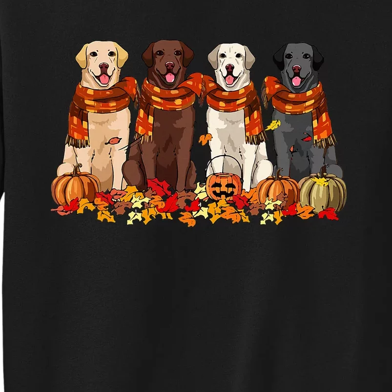 Fall Autumn Pumpkin Labrador Retriever Thanksgiving Dog Mom Tall Sweatshirt