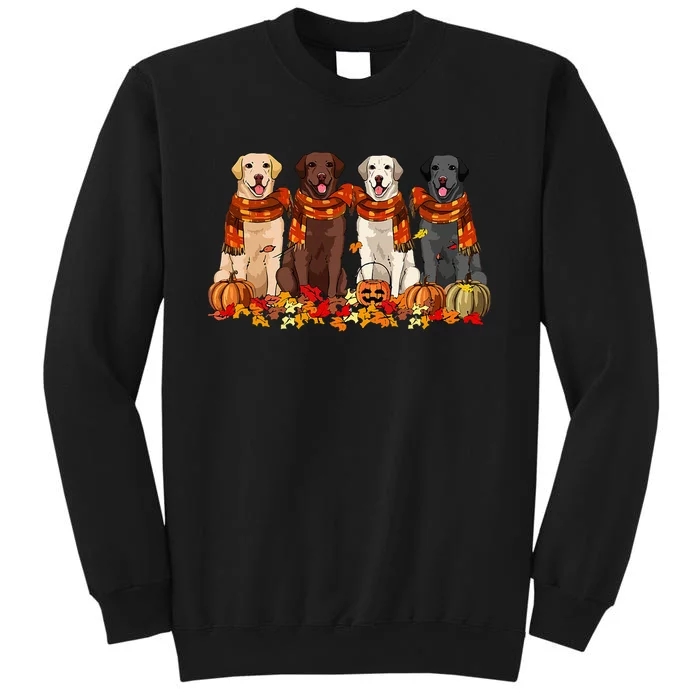 Fall Autumn Pumpkin Labrador Retriever Thanksgiving Dog Mom Tall Sweatshirt