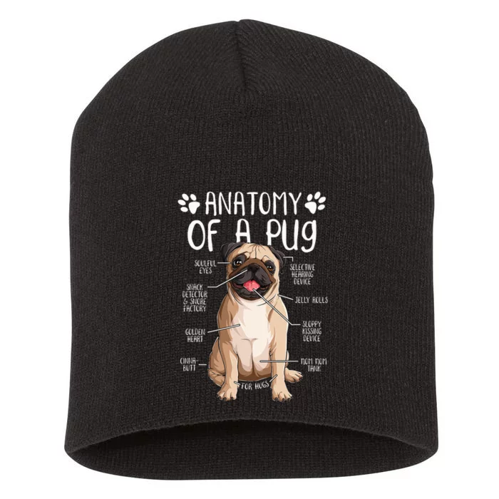 Funny Anatomy Pug Dog Pug Lover Short Acrylic Beanie