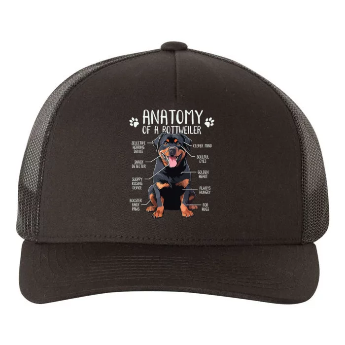 Funny Anatomy Rottweiler Dog Owner Rottie Dad Mom Pet Lover Yupoong Adult 5-Panel Trucker Hat