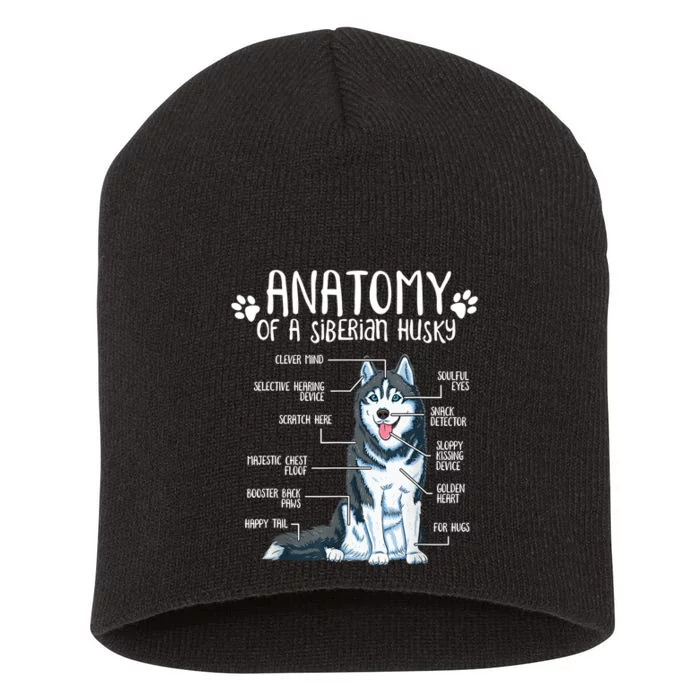 Funny Anatomy Siberian Husky Dog Lover TShirt Short Acrylic Beanie