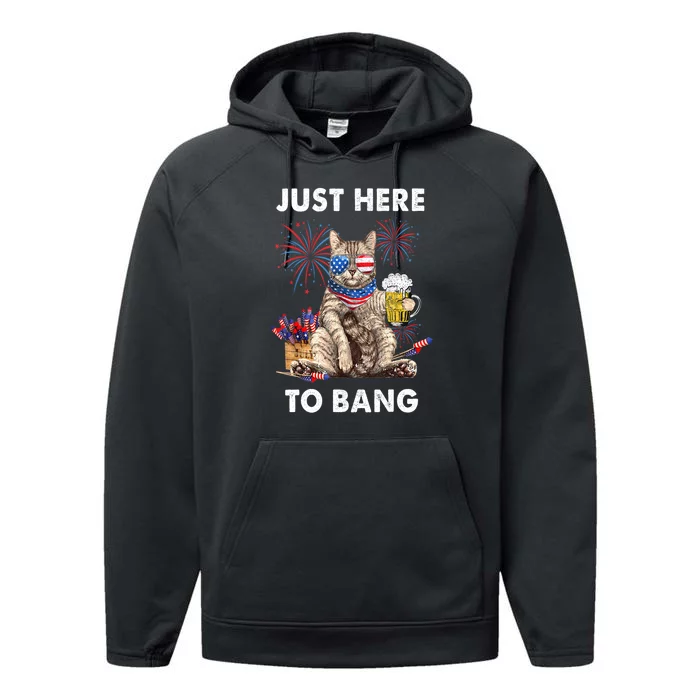 Funny Beer 4th Of July Cat Lover Just Here To Bang Usa Flag Gift Performance Fleece Hoodie