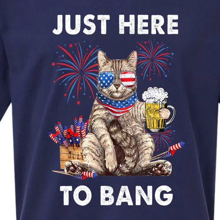 Funny Beer 4th Of July Cat Lover Just Here To Bang Usa Flag Gift Sueded Cloud Jersey T-Shirt