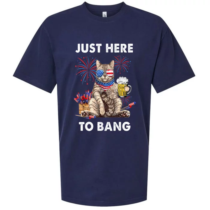 Funny Beer 4th Of July Cat Lover Just Here To Bang Usa Flag Gift Sueded Cloud Jersey T-Shirt