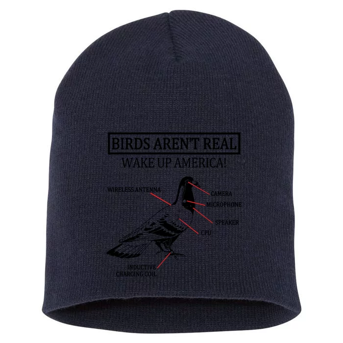 Funny Birds Aren't Real Wake Up America! They're Government Drones 1 Short Acrylic Beanie