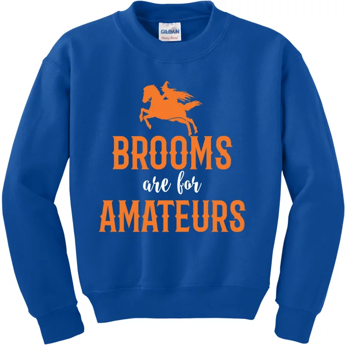 Funny Brooms Are For Amateurs Witch Gift Kids Sweatshirt