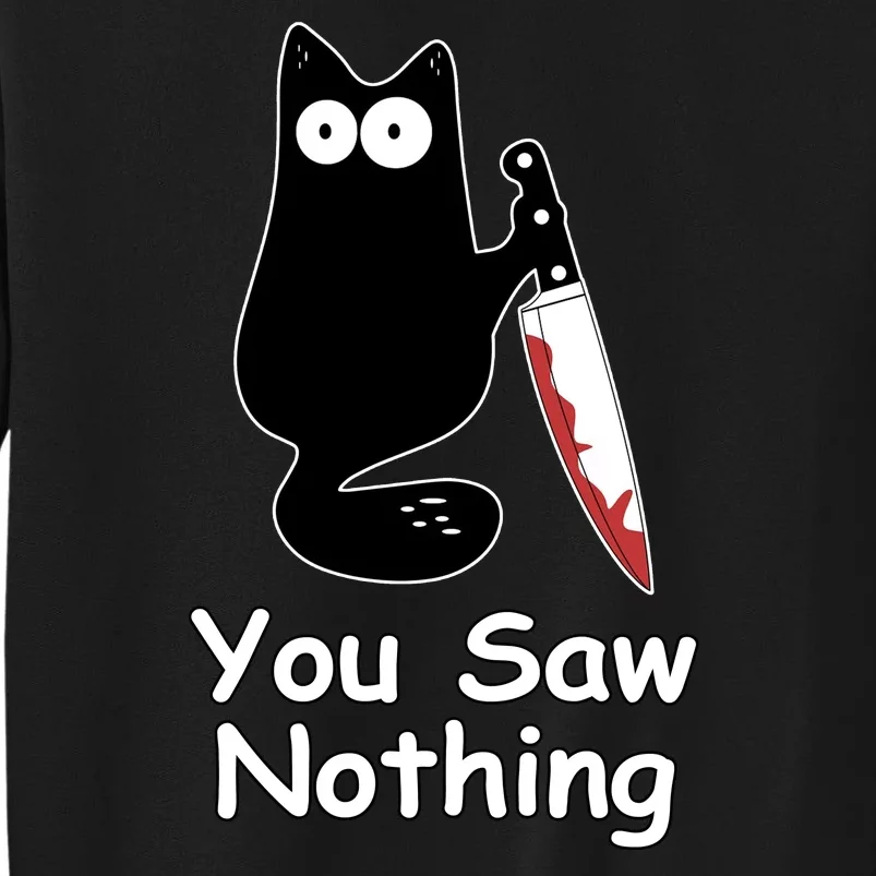 Funny Black Cat Meme You Saw Nothing Sweatshirt