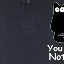 Funny Black Cat Meme You Saw Nothing Softstyle Adult Sport Polo