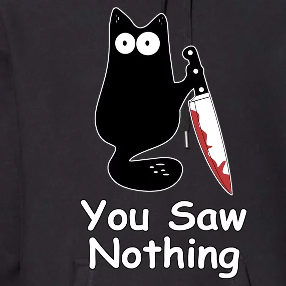 Funny Black Cat Meme You Saw Nothing Premium Hoodie