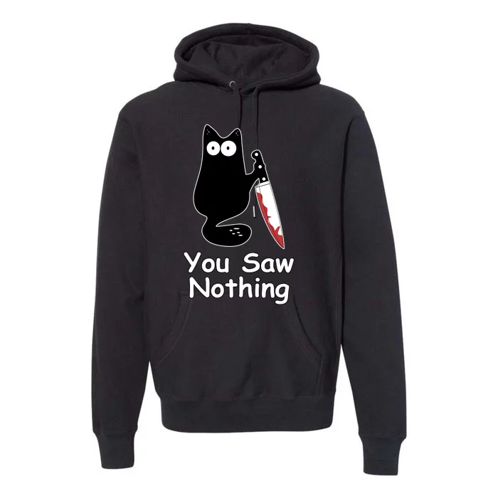 Funny Black Cat Meme You Saw Nothing Premium Hoodie