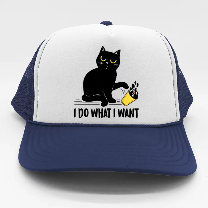 Funny Black Cat I Do What I Want Cat Lover Gifts Trucker Hat